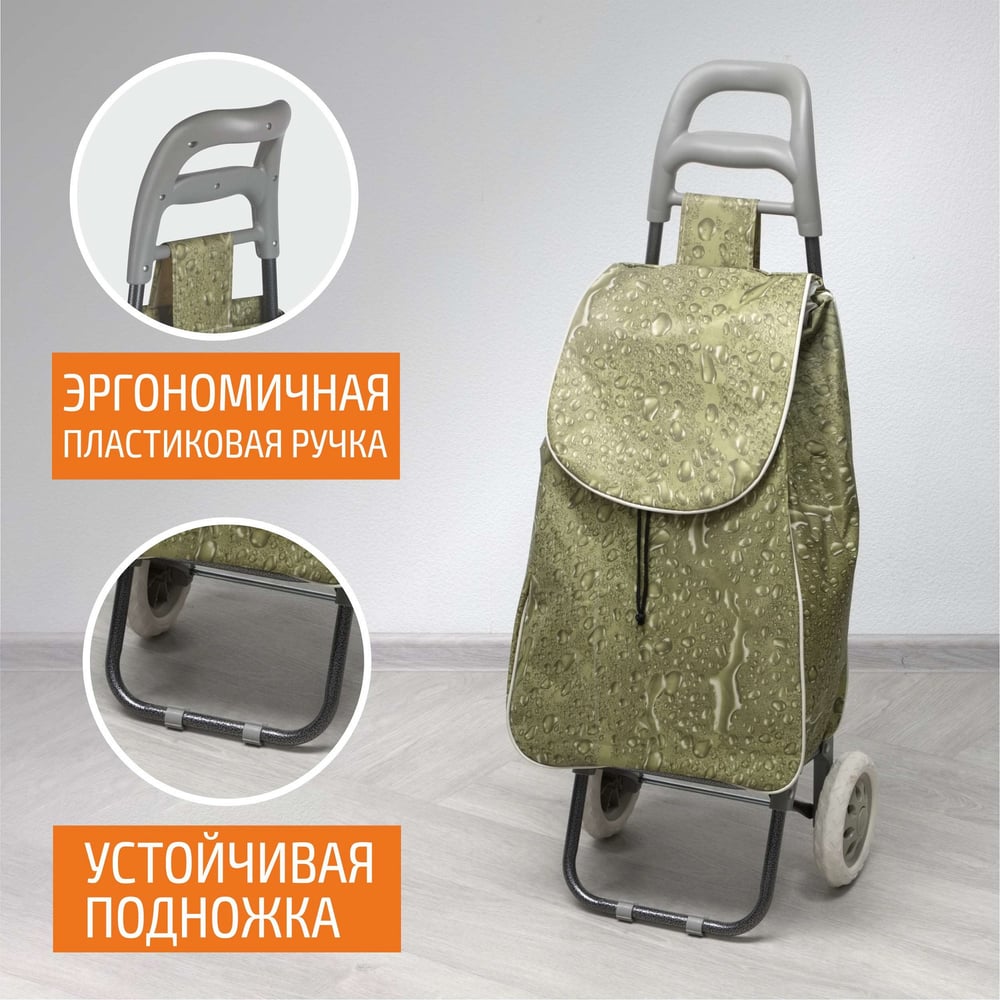 Тележка с сумкой Рыжий кот A204 Aqua 30 кг 00 2247