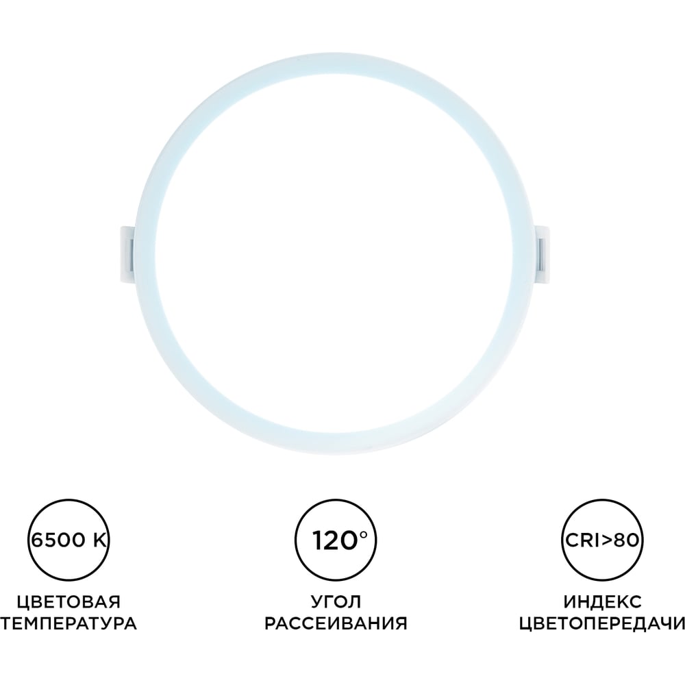 06-53 Светодиодная панель встраиваемая круглая 220В, 10Вт, 800Лм