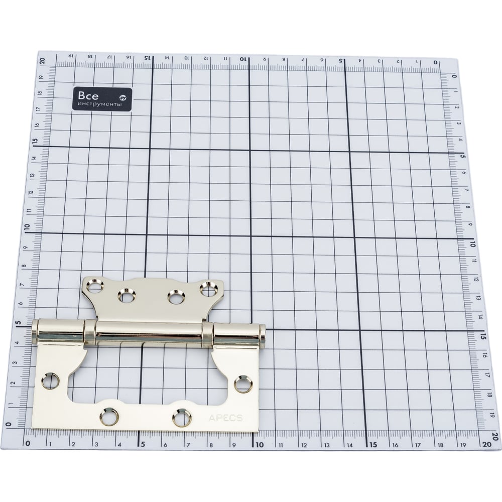 Петля накладная Apecs 100*75*2.5-B2-Steel-G