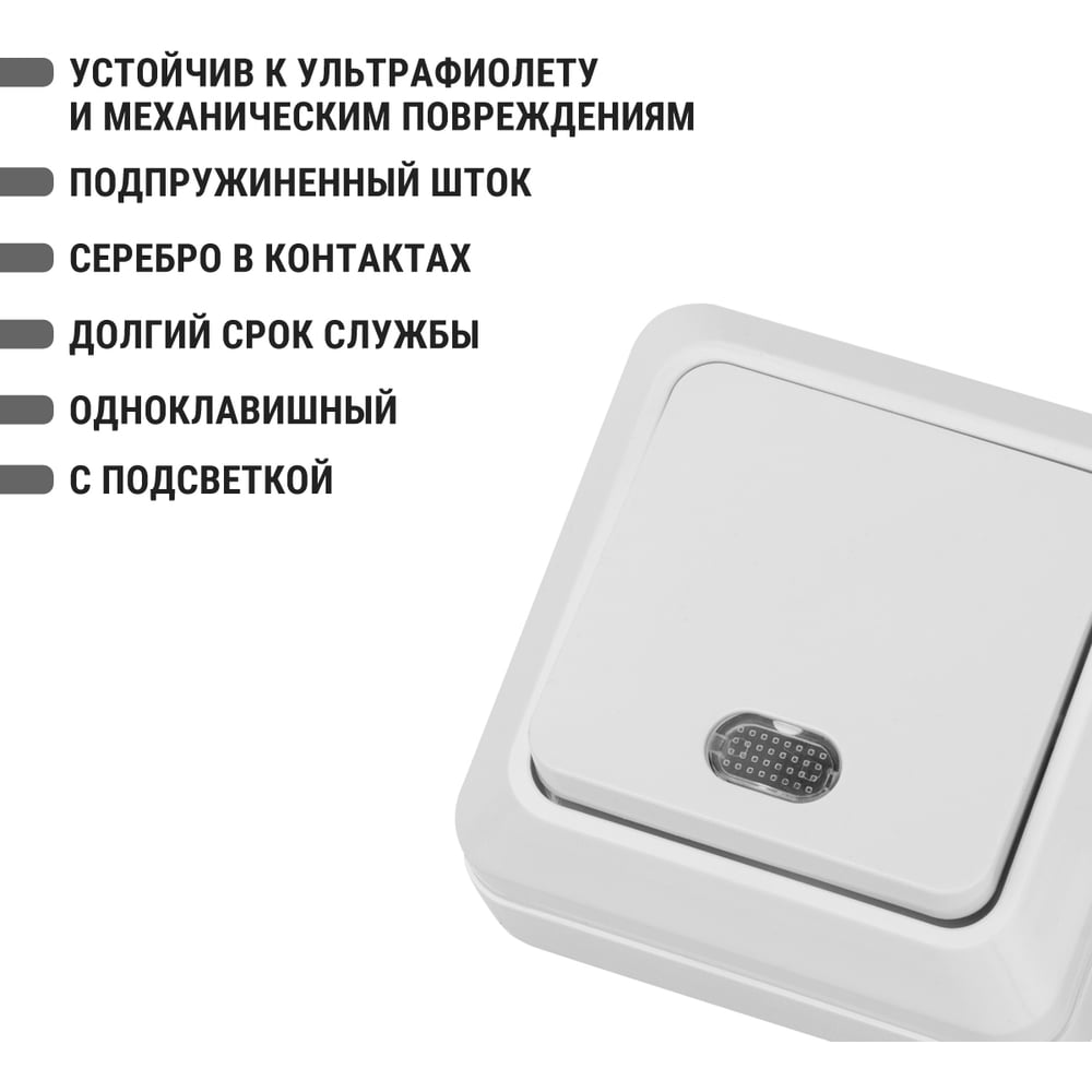 Выключатель 1-кл. открытой установки с подсветкой IP20 10А, белый "Ладога" TDM